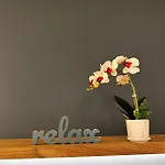 Apartman L'aurora